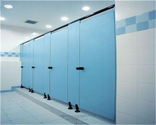 資陽復合板衛生間隔斷工程